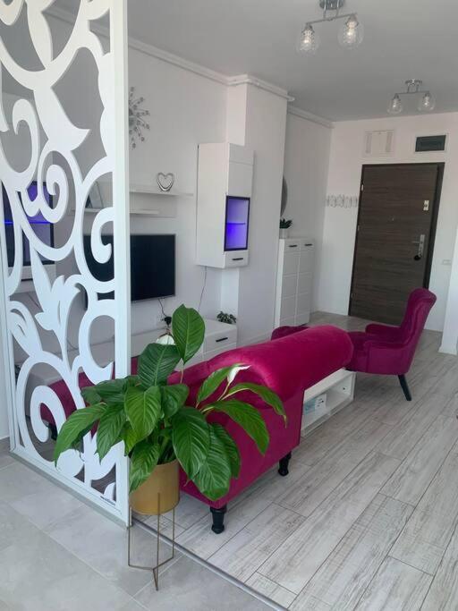 Cool Apartment Timișoara Zewnętrze zdjęcie
